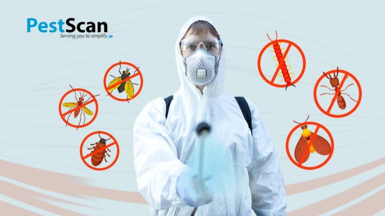 Management Platform for Pest Control Companies